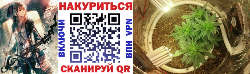 Конопля SATIVA & INDICA Вольск